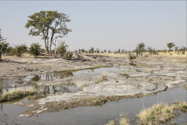 Hwange National Parks